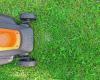 If you really have to cut the lawn, follow these tips (starting with the lawnmower) and save the pollinators