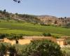 Sicilia En Primeur 2024: Planeta presents the wines of the Menfi area