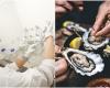 Six people intoxicated after lunch at the seaside: oysters in the crosshairs