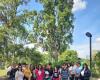 Pescara, students discovering the Fluvia eco museum on the river – News from Abruzzo