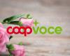 CoopVoce is giving away 3 months of Evo 200 with 200 GB, minutes and 1000 SMS for Mother’s Day – MondoMobileWeb.it | News | Telephony