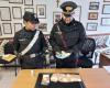 Cocaine ring worth 100 thousand euros per month in the middle and lower Valle: 8 precautionary measures
