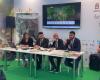 Queen of Puglia and Lands of Grapes. At the Rimini Fair the presentation of the network of Apulian producer municipalities – Pugliapress
