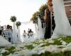 Wedding ceremony, in Olbia the mayor Nizzi forbids breaking the plate