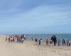 Introduce the little ones to the beach with Lions Host and Ambiente Basso Molise