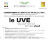 Viticulture, Cantine Colomba bianca presents the 13th edition of “The Grapes Tell” in Marsala