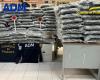 Fruit, vegetables, hashish and marijuana, 340 kilos of drugs seized in the port of Civitavecchia