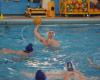 Serie C: The Canottieri Milano championship resumes against Pavia – WATERPOLO PEOPLE