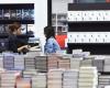Book market in decline in 2024, but Italians are growing (especially romance)
