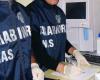 Carabinieri Nas Rimini. Vast trafficking in doping drugs busted