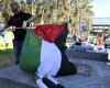 Why Italy abstained (with 24 other states) from voting to include Palestine in the UN