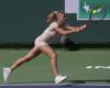 Camila Giorgi has disappeared: possible problems with the tax authorities