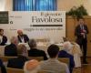 A two-day event dedicated to “Favolosa” oil, the cultivar that defeated Xylella, begins in Trani – Telesveva Notizie