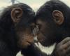 US box office receipts: Rise of the Planet of the Apes debuts with 6.6 million in previews | Cinema