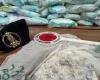 GDF ROME * DRUGS: « TWO COURIERS ARRESTED AT THE PORT OF CIVITAVECCHIA, 340 KG OF DRUGS SEIZED »