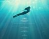 Paolo Sorrentino’s mermaid revealed by the poster