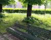 Cremona Sera – Neglect, decay and abandonment: the gardens of Piazza Castello among weeds, broken benches and dry branches. So for years, the reports have continued