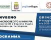 BRINDISI. Conference on “Microcredit and Mini PIA”. Confesercenti and the Puglia Region together for businesses.