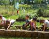 The Autonomous Province of Trento visits the nursery schools and nursery schools of the Parma system –