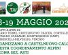 Castelnuovo Calcea | “1st Alpine coordination party 8th section section. Asti”