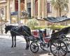 Fear in Palermo, a runaway horse runs through the streets of the center and causes damage