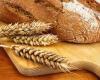 Celiac disease, AIC Calabria will offer gluten-free meals: the project to raise awareness of the disease
