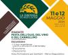 “La Dispensa dei Monti Lattari”, the Olive Oil, Wine and Cannellino Festival in Pimonte: appointment on 11 and 12 May