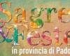 Festivals and celebrations in the province of Padua: the events of the weekend 10 – 12 May 2024 and “Mother’s Day” special