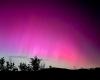 Pink Night, Aurora Borealis colors the sky of Livorno – Livornopress