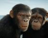 Kingdom of the Planet of the Apes back in the lead – The box office on Friday 10 May