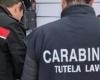 ViviWebTv – Taranto | Checks in commercial establishments: crackdown by the police