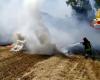 A canister explodes in the burning brushwood: firefighter ends up in hospital