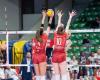Uyba: Piva and Sartori not called up for the VNL. Agreement with Insubria Gallarate & Cavaria