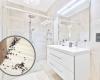 Do you constantly notice small insects in the bathroom? Why they appear and how to get rid of them