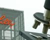 Eli Lilly, challenge on treatments for diabetes and obesity. Focus on new factories