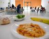 School canteens, Basilicata is the most expensive region in Italy: 109 euros per month