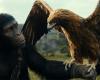 Italian box office: Kingdom of the Planet of the Apes wins the weekend, well The secret of Liberato | Cinema