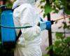 Municipality of Lissone – Contingent and urgent ordinance for sanitary disinfestation in case of “Chikungunya” arbovirus
