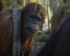 The Kingdom of the Planet of the Apes wins the weekend and exceeds the million euro mark