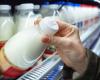 WHO alarm on avian flu virus in raw milk, H5N1 is affecting several animals: the risks for humans