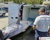 Caught a 231 kilo tuna, record catch by a trawler in Bosa