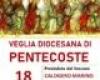 In the Pentecost vigil the “mandate” to the diocesan leaders