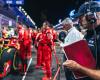 Newey-Ferrari, Vasseur: “I believe more in the group than in the individual” – News