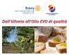 RENDE (CS) – The Rotary public meeting “From the olive grove to quality extra virgin olive oil”