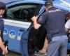 He attempts to rob a house in Treviso, but the neighbor is a policeman and has him arrested. Thief settles for 14 months