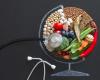 Harvard, a sustainable diet reduces the risk of premature death as well as environmental impact