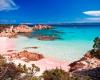 Sardinia, influencer from Dubai lands on the pink beach of Budelli: fine of 1800 euros