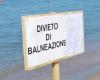 Faecal contamination in the waters of Friuli Venezia Giulia. Stop swimming and consuming shellfish – PrimaFriuli