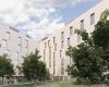 The new wooden student residence arrives in Padua: 235 beds in the name of sustainability
