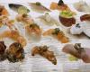 Gambero rosso Sushi Guide: here are the 7 best addresses in Sicily